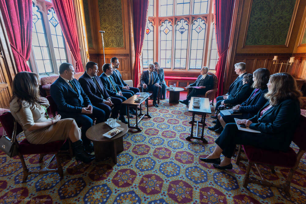 Igra li Mandić ulogu vuka u jagnjećoj koži: šef Skupštine u britanskom parlamentu