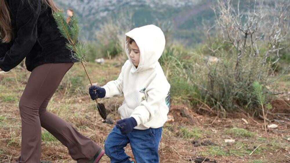 Universal Capital Bank