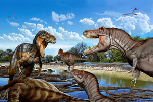 Kost iz grla potvrđuje - Nanotirannus nije bio juvenilni T. reks