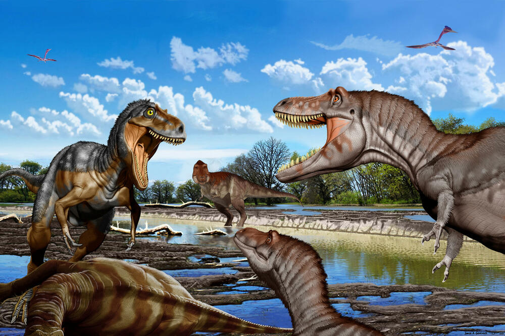 ilustracija prikazuje okršaj iz kasne krede između odraslog Nanotirannusa (lijevo) i dva juvenilna T. reksa, dok subadultni T. reks posmatra iz daljine, Foto: Reuters
