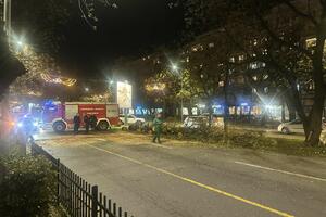 Kamion oborio stablo na Bulevaru Svetog Petra Cetinjskog,...