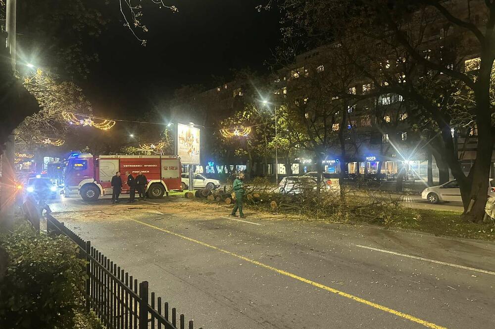 Foto: Čitalac Vijesti