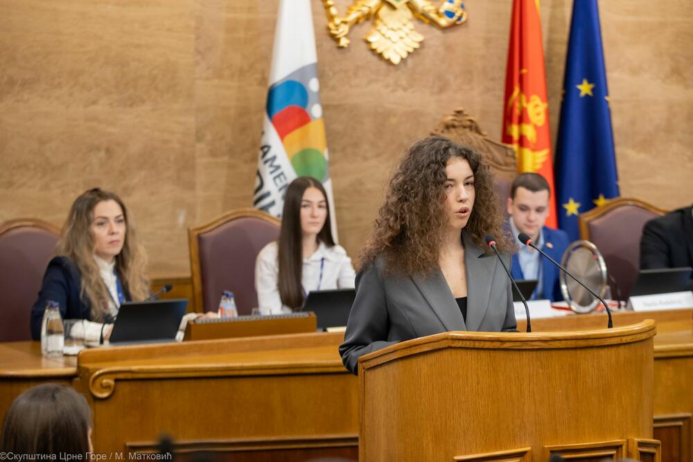 <p>Mandić je pozvao mlade da aktivno učestvuju, dijele svoja znanja iz oblasti tehnologije i daju sugestije koje će doprinijeti blagostanju njihovih vršnjaka i budućih generacija<br /> </p>