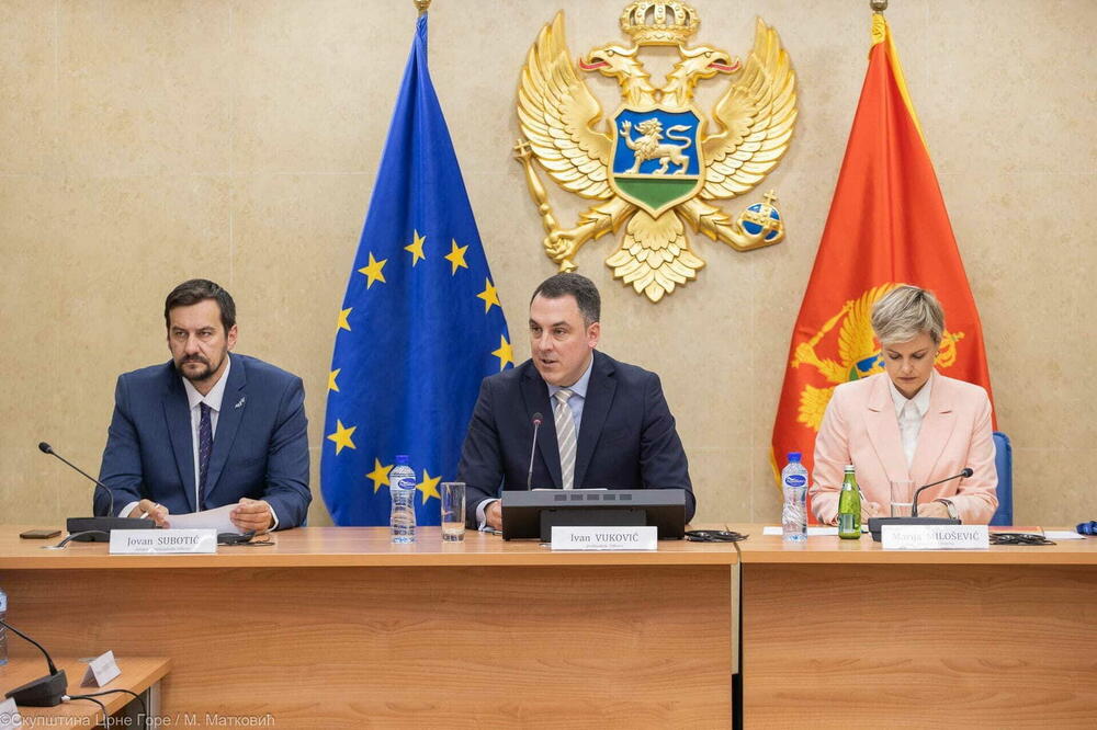 Jedna rezolucija o putu u EU na snazi od 2013: sa sjednice Odbora za evropske integracije, Foto: Skupština Crne Gore/M.Matković