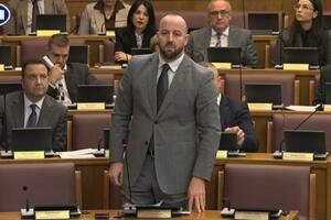 Nikolić: Koliko god zastrašivali i prijetili, ne možete zaustaviti...