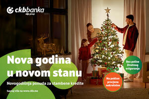 Nova godina u novom stanu