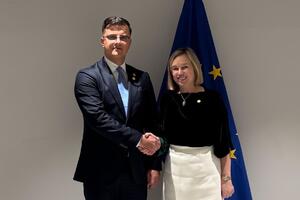 Šaranović na sastanku sa šeficom Europola: Crna Gora vodi...