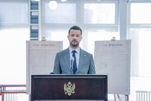 Milatović: Ustav i zakon moraju biti iznad dnevne politike