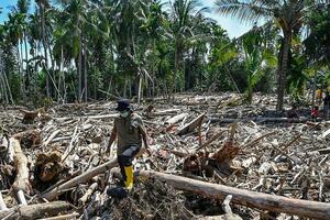 Ciklon na Sumatri je možda zbrisao i najrjeđe majmune na svijetu