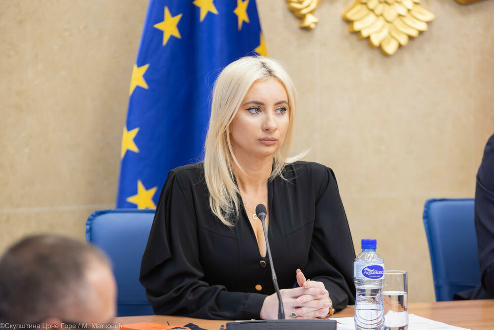 ODbor za evropske integracije, Maida Gorčević