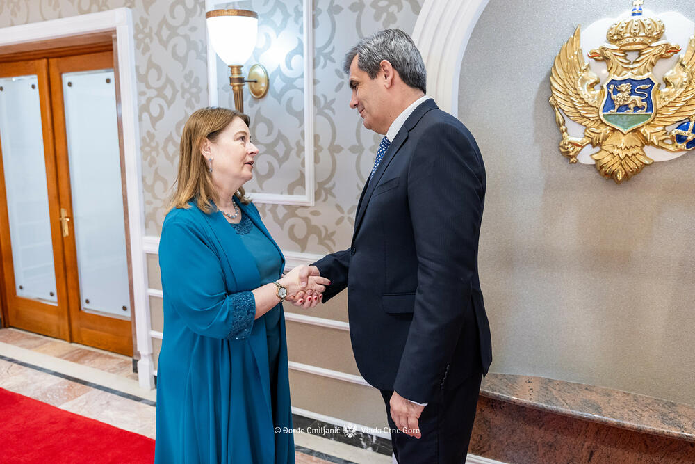 <p>Iz Ministarstva vanjskih poslova (MVP) je saopšteno da je ministar Ervin Ibrahimović priredio u Vili Gorica tradicionalni novogodišnji prijem za diplomatski kor, tokom kojeg je ukazao na aktuelni međunarodni kontekst i ključne vanjskopolitičke prioritete Crne Gore, uz osvrt na ostvarene rezultate u prethodnoj godini</p>