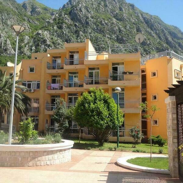 Drakić da objavi vožnje Perović i Paović: Iz risanskog Doma starih...