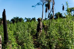 Uz pomoć EU spriječeni pokušaji Balkanske mafije da se infiltrira...