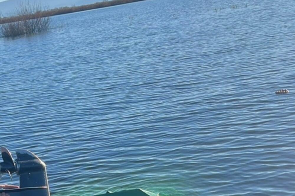 Fotografija koju su na Fejsbuku objavili Nacionalni parkovi Crne Gore, Foto: NPCG