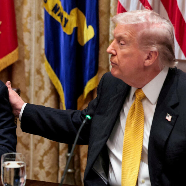 Demokratija se brani dok je još ima