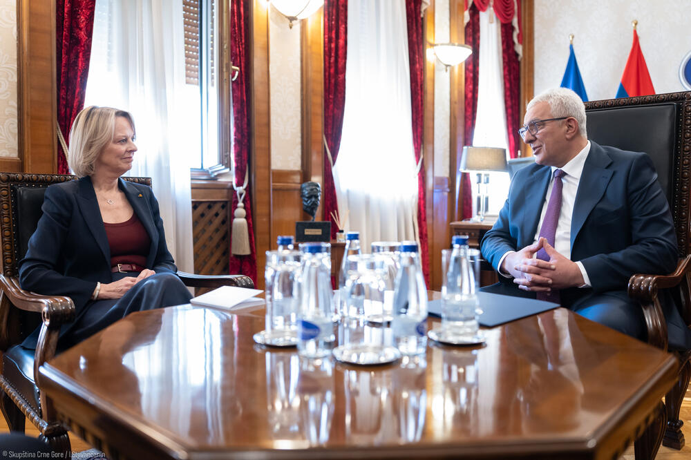 Sastanak Mandić-Samelin: Crnoj Gori je sada potrebna snažna...