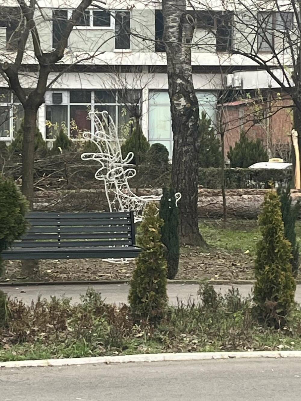 <p>Kako je saopšteno iz Komunalnog preduzeća "Lim", stručne analize su pokazale da je dio drveća bio u veoma lošem stanju, te da su suve i oslabljene grane predstavljale potencijalnu opasnost za građane i prolaznike</p>