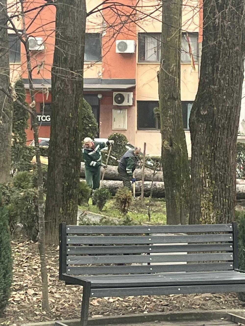 <p>Kako je saopšteno iz Komunalnog preduzeća "Lim", stručne analize su pokazale da je dio drveća bio u veoma lošem stanju, te da su suve i oslabljene grane predstavljale potencijalnu opasnost za građane i prolaznike</p>