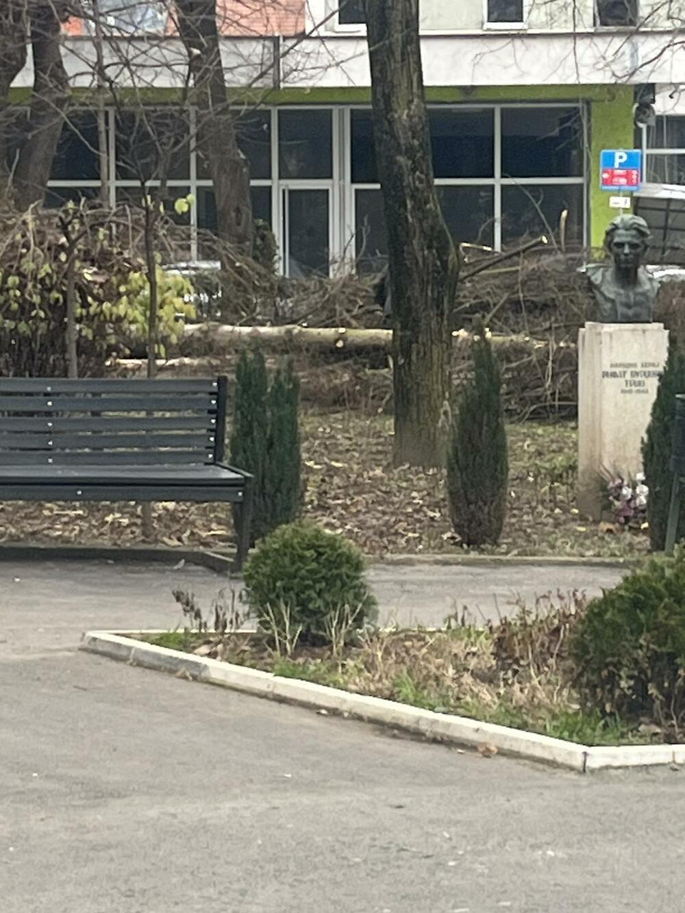 <p>Kako je saopšteno iz Komunalnog preduzeća "Lim", stručne analize su pokazale da je dio drveća bio u veoma lošem stanju, te da su suve i oslabljene grane predstavljale potencijalnu opasnost za građane i prolaznike</p>