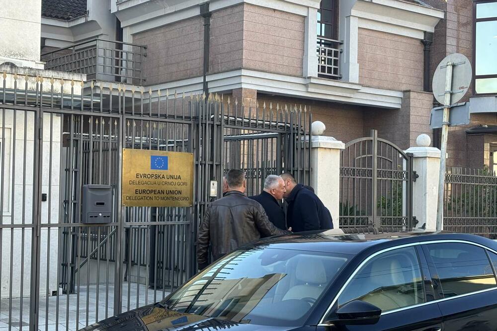 Foto: Jelena Kočanović