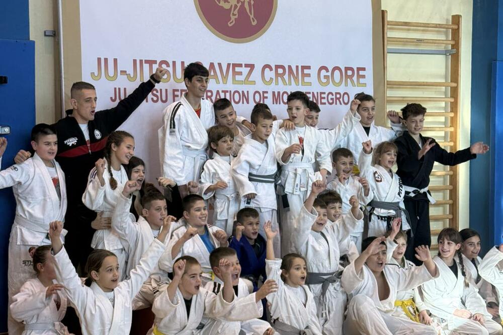 Pitbull Jiu Jitsu, Foto: D. M.