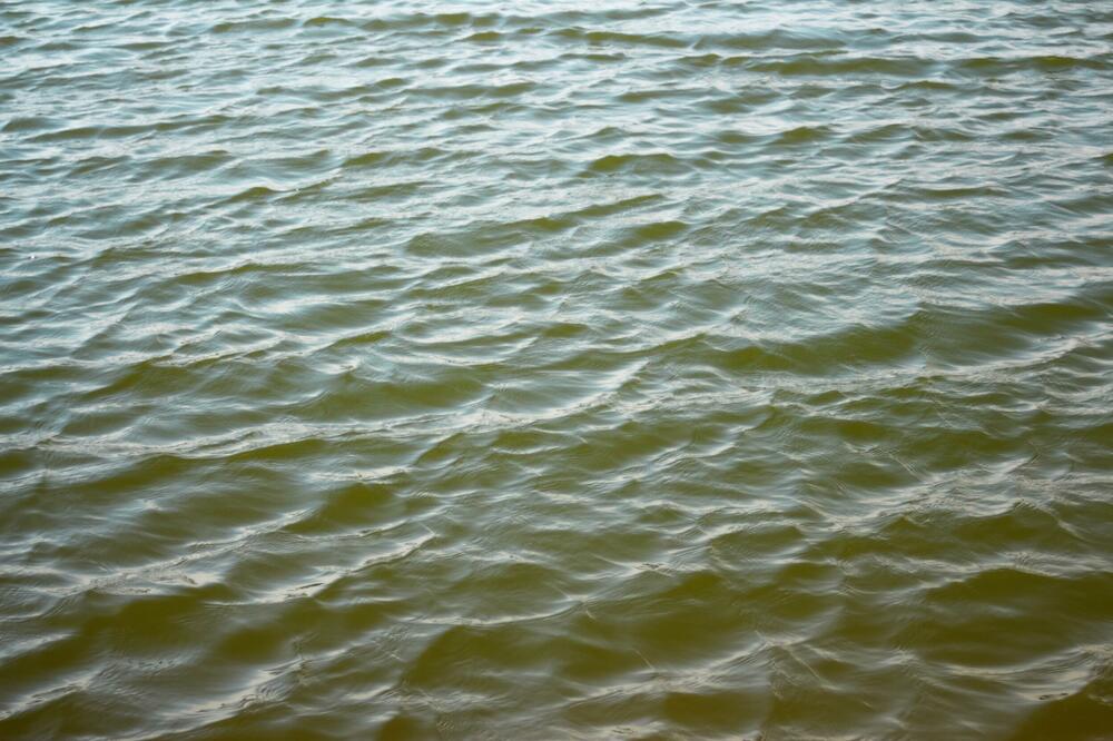 Ilustracija, Foto: Shutterstock