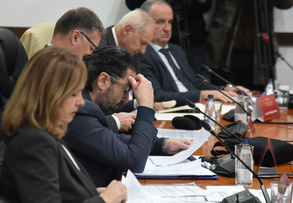 Stručnjaci na javnoj raspravi