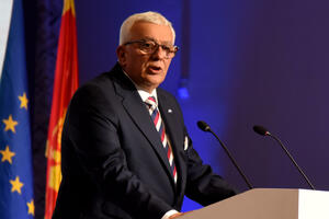 Mandić: Sadašnji Ustav ne označava realno stanje u društvu