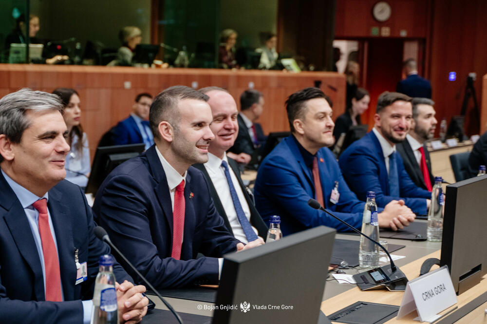 Spajić predstavnicima država članica: Nadam se da vidite da Crna...