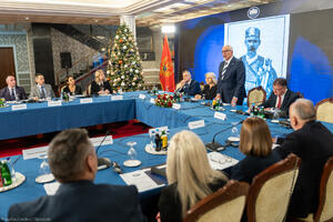 Mandić: Demokratija je proces koji sazrijeva i koji se uči