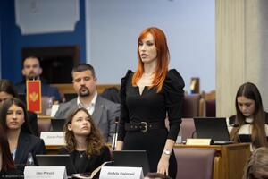 Vojinović: Skupštini predata inicijativa za formiranje Odbora za...