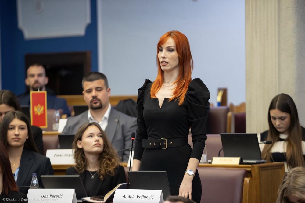Foto: Skupština Crne Gore/F.Burzanović