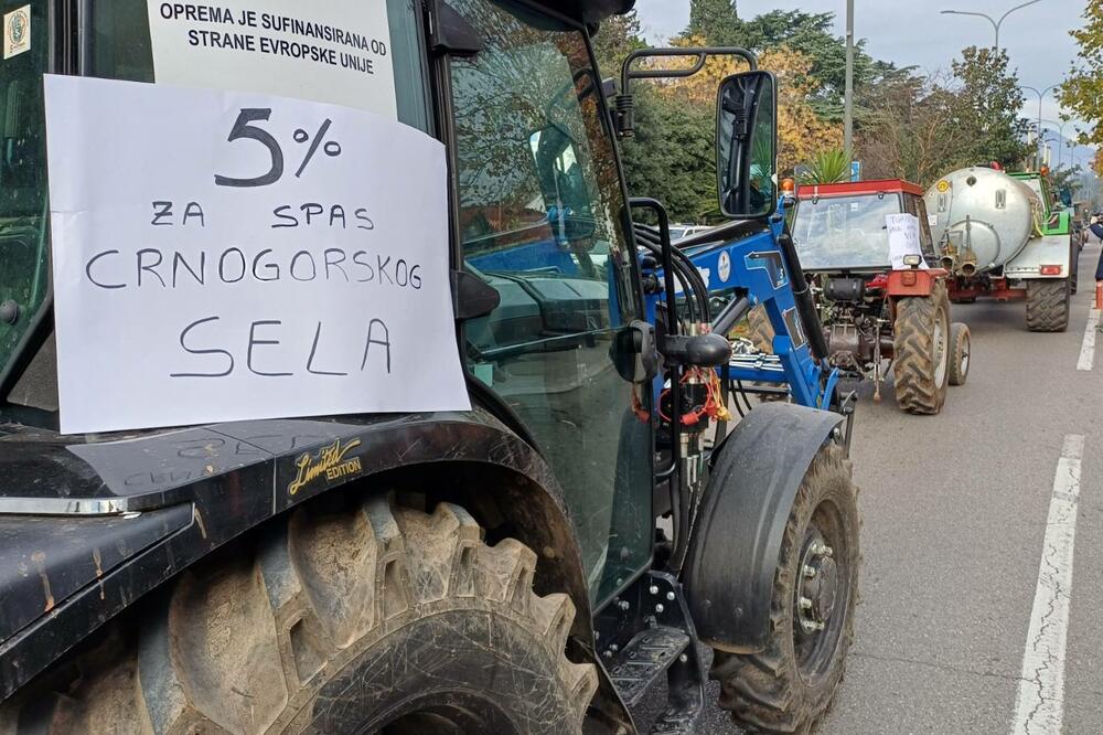 Foto: Predrag Tomović