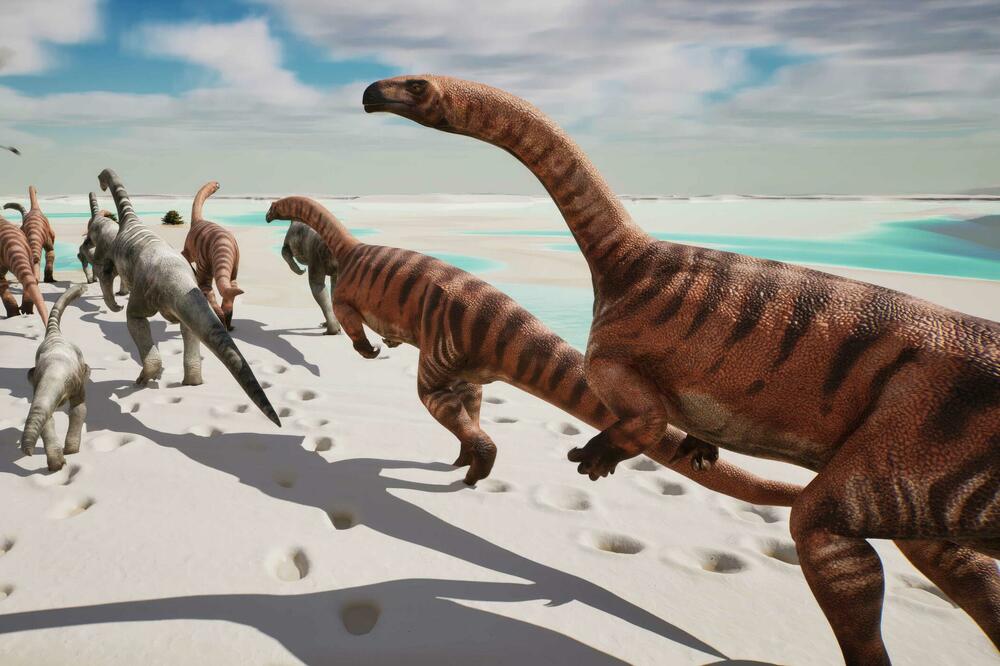 Foto: Illustrazione di Fabio Manucci, Arch. PaleoStelvio