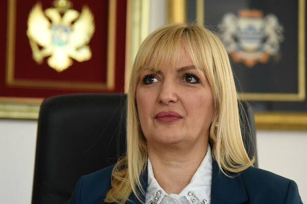 Borovinić Bojović: Izaberite predsjednika lokalnog parlamenta u...