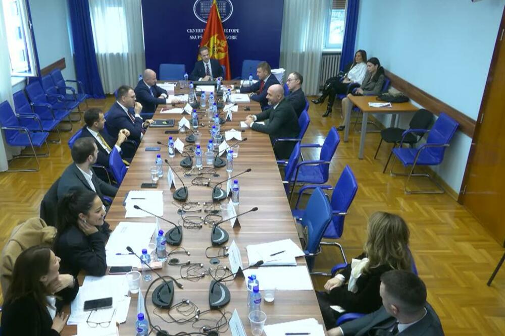 Sa odbora, Foto: Screenshot/Skupština Crne Gore
