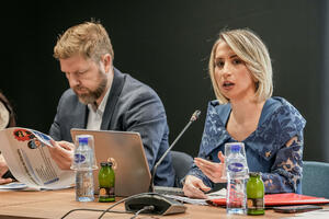 SNP predlaže zabranu korišćenja društvenih mreža za djecu mlađu od...