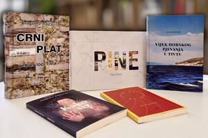 Gradska biblioteka objavila niz naslova