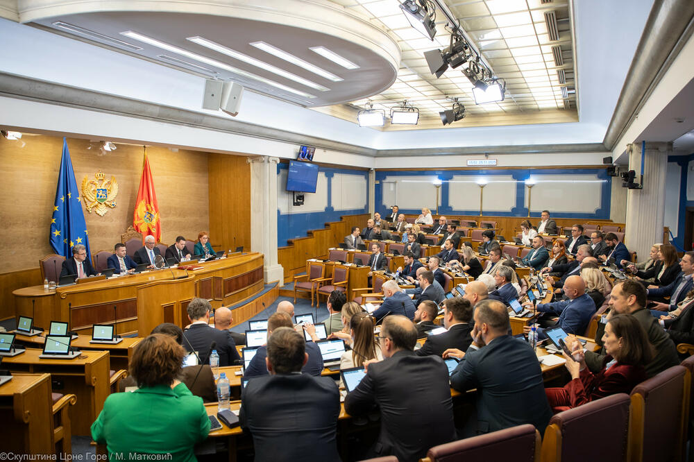 Foto: Skupština/M.Matković