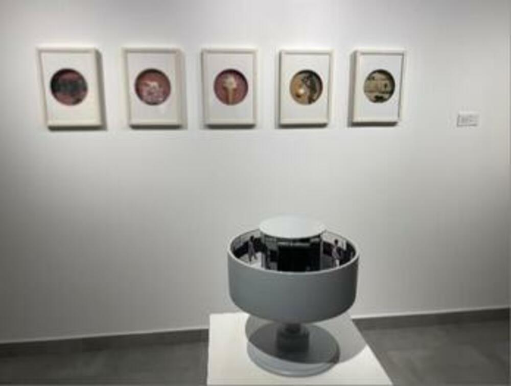 Rad Jovane Vujanović