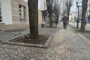 Slojevi izmeta opasni i po zdravlje: Prljavština i nesnosan smrad...