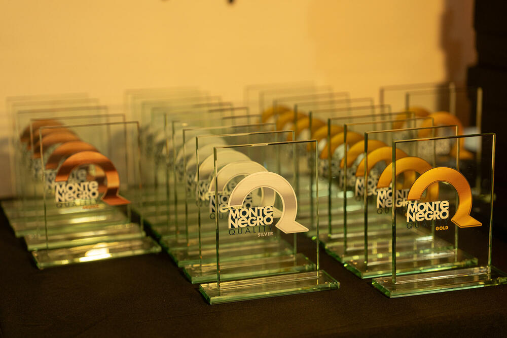 Nacionalna turistička organizacija Crne Gore