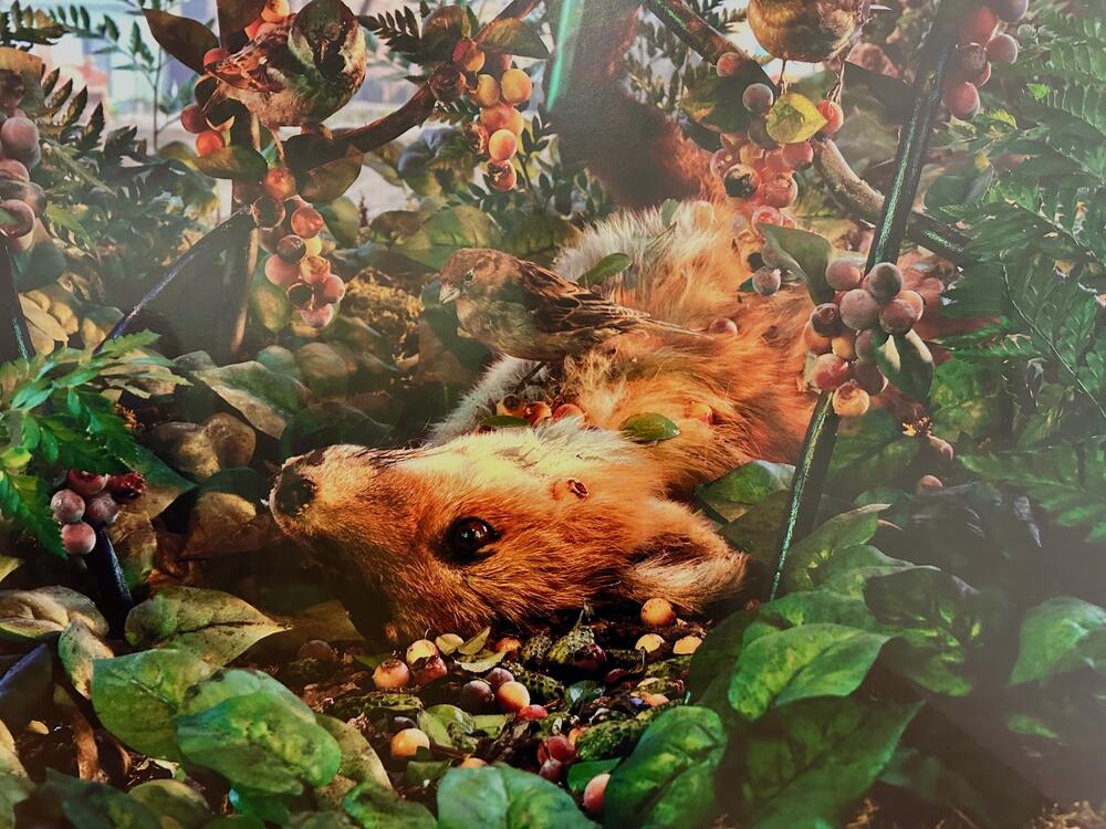 Bez naziva, 1991-1997, iz serije Čudo prirode