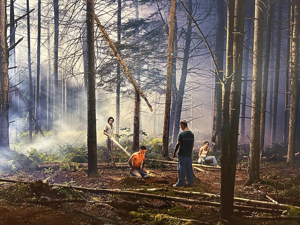 Iz ciklusa Ispod ruža