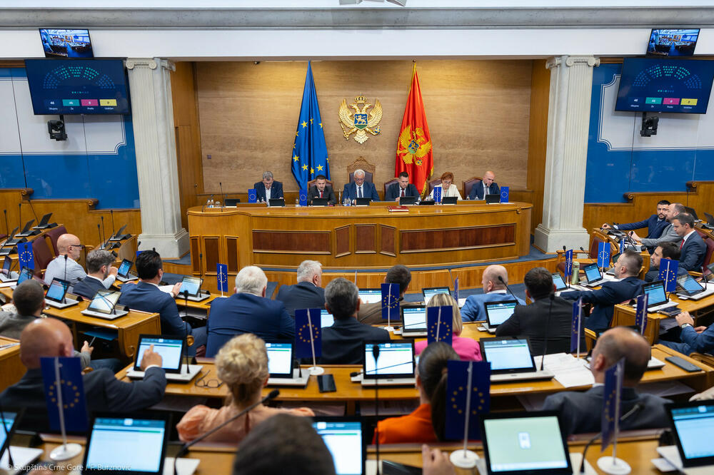 Predviđeno i formiranja Odbora za mlade: Sa jedne od sjednica parlamenta, Foto: skupstina.me