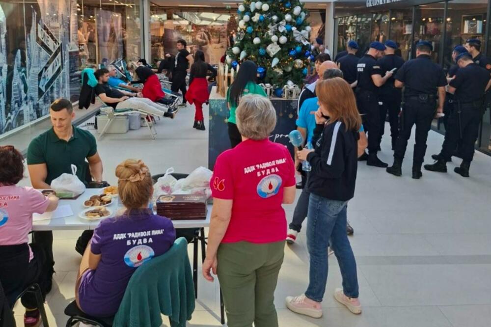 Detalj sa akcija, Foto: DDDK Radivoje Pima