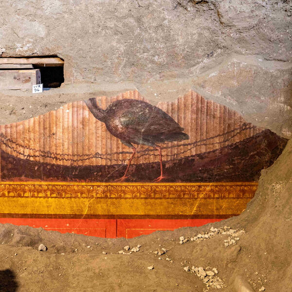 Nova otkrića u vili kod Pompeje: Freske s "izuzetnim detaljima i...