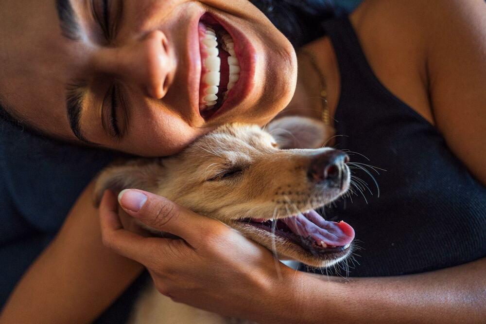 Vjeruje se da su psi prve životinje koje su ljudi pripitomili, Foto: Getty Images