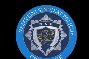 NSPCG: Vlada da povuče Predlog Zakona, u situaciji straha za posao...