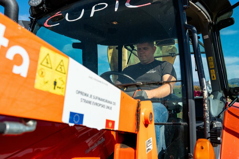 Nebojša Ćupić, Foto: Ministarstvo evropskih poslova